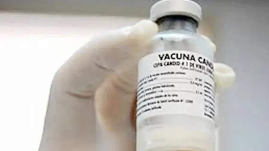 ebola-arg-6a15adcf38550