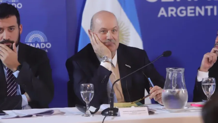 federico-sturzenegger-senado