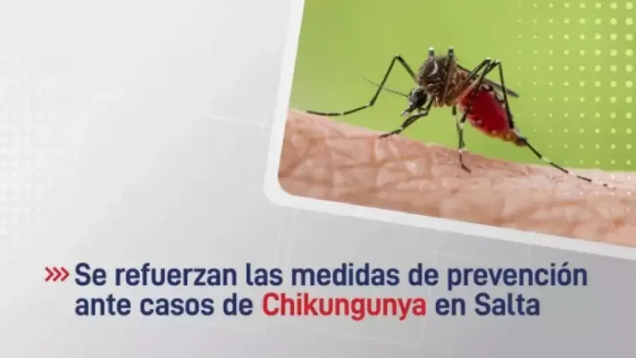 106690-salta-registra-120-casos-confirmados-de-chikungunya-en-lo-que-va-del-periodo-de-vigilancia-20252026