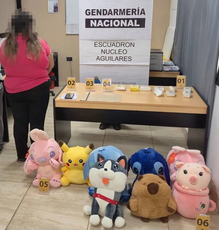 tucuman-_cocaina-_peluches-_01