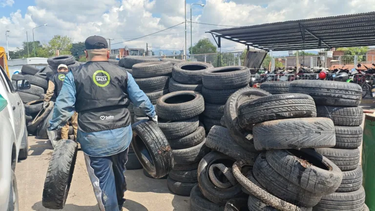 21-neumaton-2-768x432