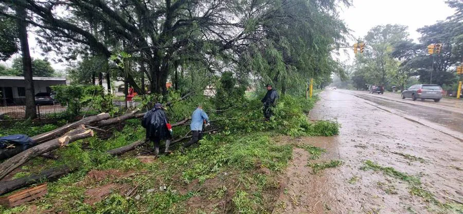 487218820_658586773547523_6152955409016112885_n