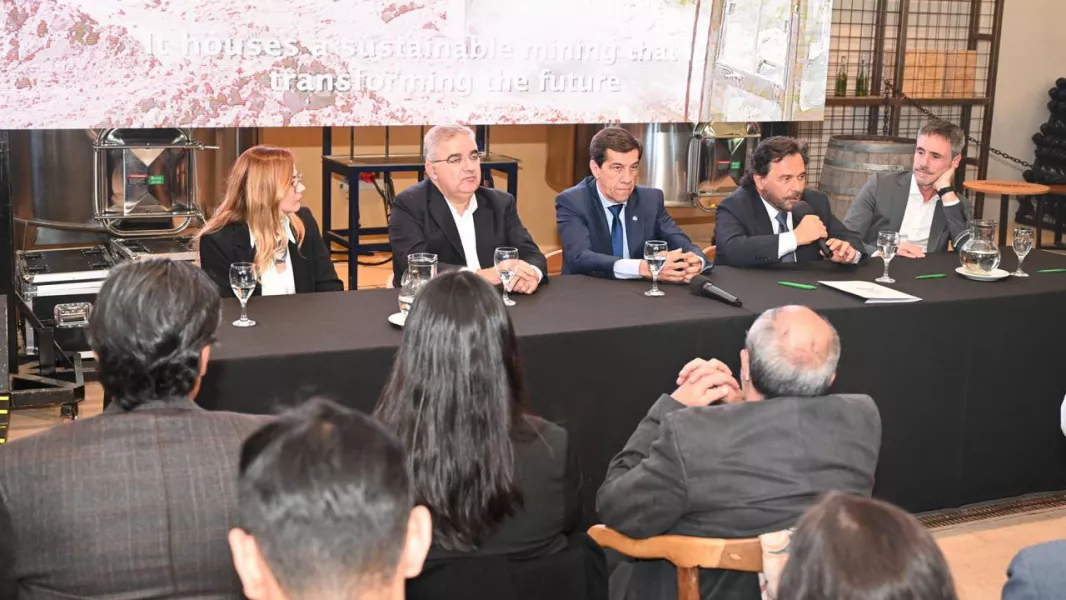 22903-mesa-del-litio-saenz-pidio-reglas-claras-a-nivel-pais-para-garantizar-previsibilidad-e-inversiones