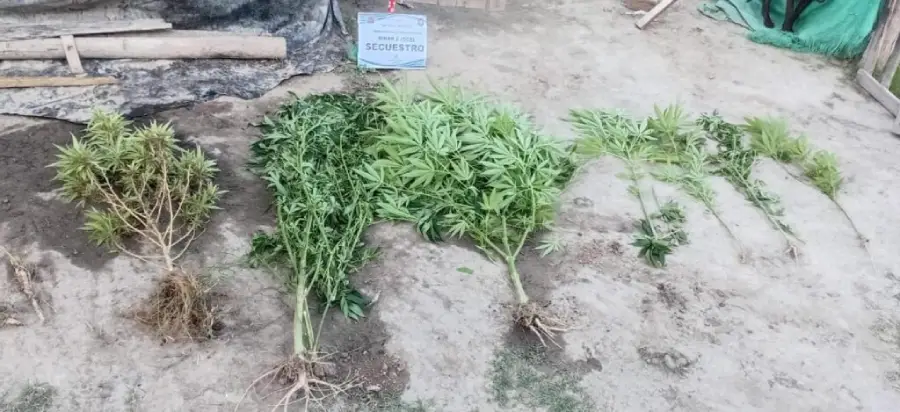 WhatsApp-Image-2026-04-04-at-18.36.43-1024x469