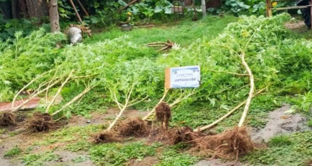 WhatsApp-Image-2025-03-10-at-3.04.35-PM-1-696x370