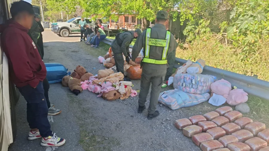 esconden_49_kilos_de_marihuana_y_4_kilos_de_cocaina_en_capibaras_de_peluches_8
