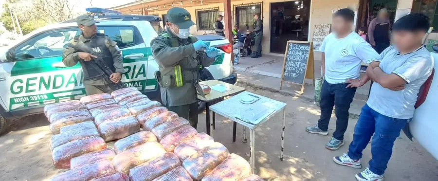 esconden_49_kilos_de_marihuana_y_4_kilos_de_cocaina_en_capibaras_de_peluches_5