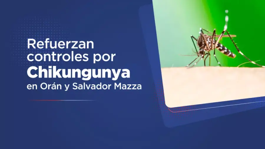 106363-salud-refuerza-la-vigilancia-epidemiologica-en-la-frontera-norte-ante-brote-de-chikungunya-en-bolivia