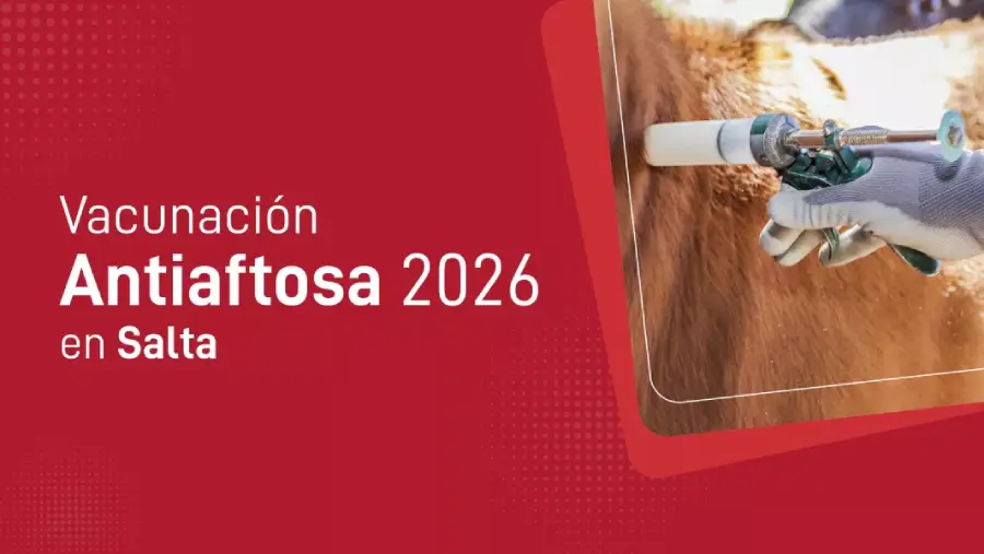 107146-vacunacion-antiaftosa-2026-en-salta-comenzo-la-primera-campania