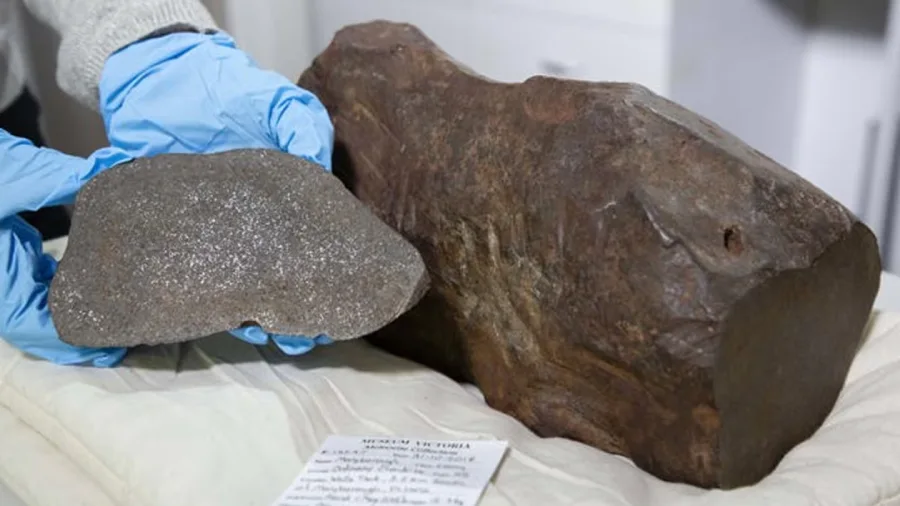 el-meteorito-fue-descubierto-en-2015-por-un-buscador-de-oro-foto-museums-victoria-7EI3PIBDCBEZRMXAXRJ5IBNNXI
