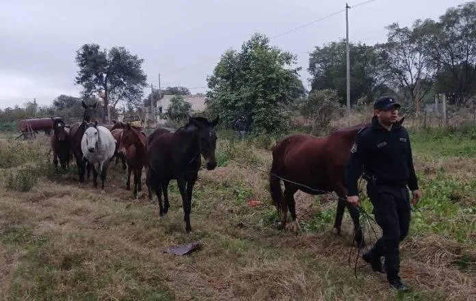 WhatsApp-Image-2025-07-11-at-8.29.57-PM-696x512