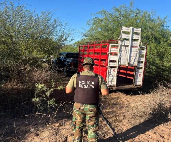 WhatsApp-Image-2025-12-14-at-16.38.38-3-696x928