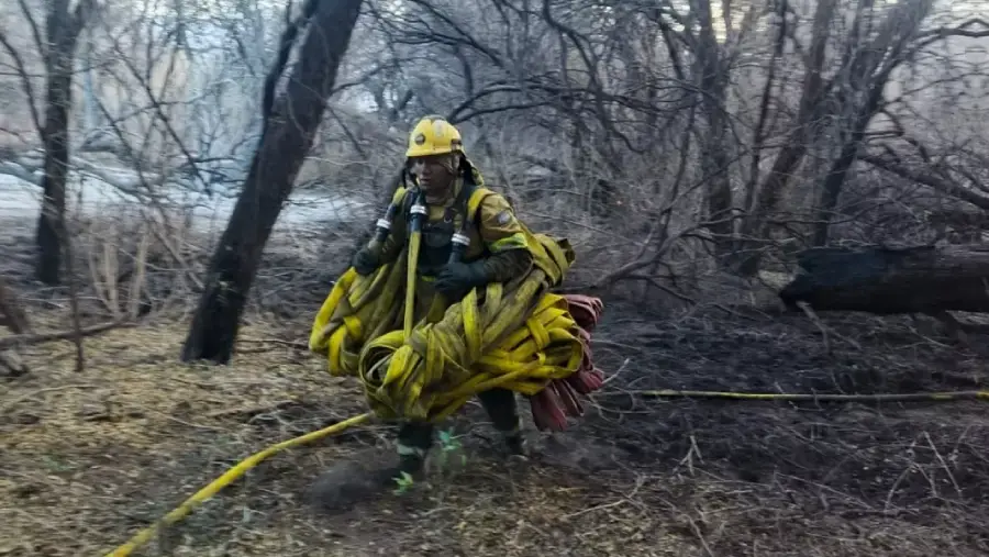 108456-se-declaro-contenido-el-incendio-forestal-en-cafayate (1)