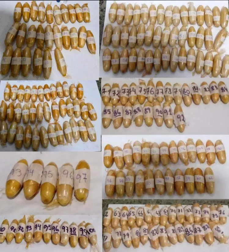 capsuleros-tucuman-0002