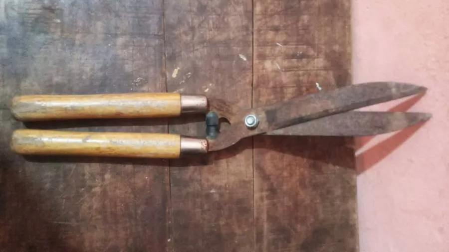 WhatsApp-Image-2025-04-29-at-10.53.42-PM-576x1024