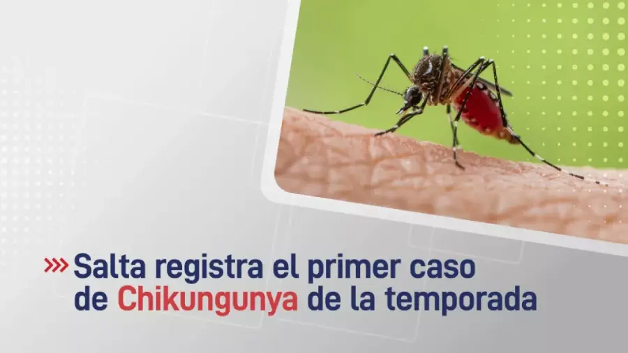 105982-se-confirma-el-primer-caso-de-chikungunya-de-la-temporada-con-antecedente-de-viaje-20260123190708