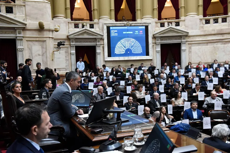 martin-menem-camara-diputados