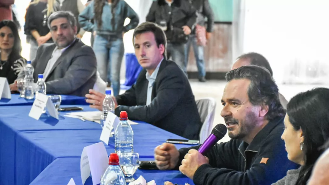 102181-el-gobernador-saenz-presidio-la-reunion-de-gabinete-ampliado-en-el-departamento-san-martin-20250612171900