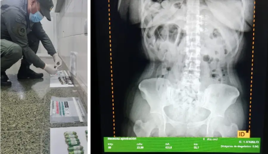 whatsapp_image_2026-03-03_at_14.47.50