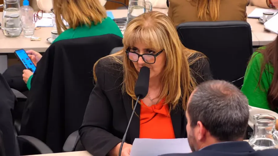 24976-salta-expuso-en-el-congreso-de-la-nacion-la-critica-situacion-de-las-pensiones-por-discapacidad