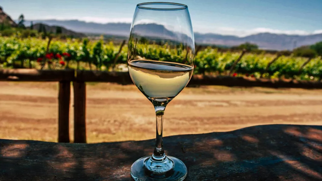 102931-se-presentara-una-nueva-edicion-de-la-feria-de-vinos-degustar