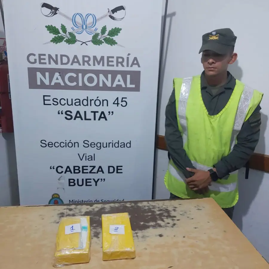 gendarmes_hallaron_mas_de_18_kilos_de_cocaina_ocultos_en_el_bano_de_un_omnibus_y_en_los_bolsos_de_mano_de_dos_pasajeras_3
