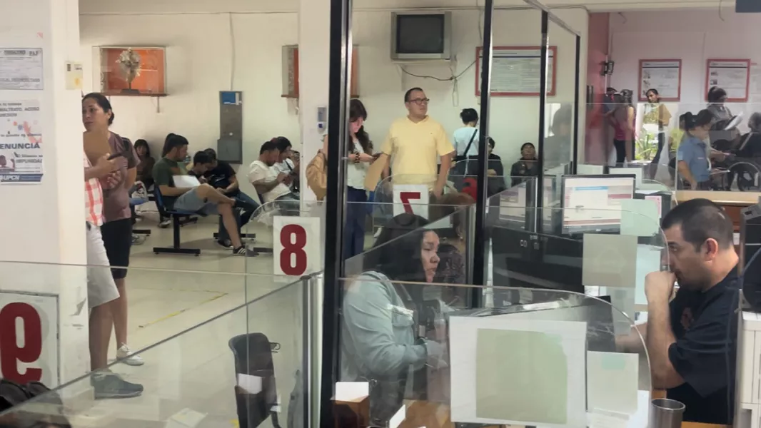 101691-el-ipv-reanuda-la-atencion-al-publico-los-martes-por-la-tarde