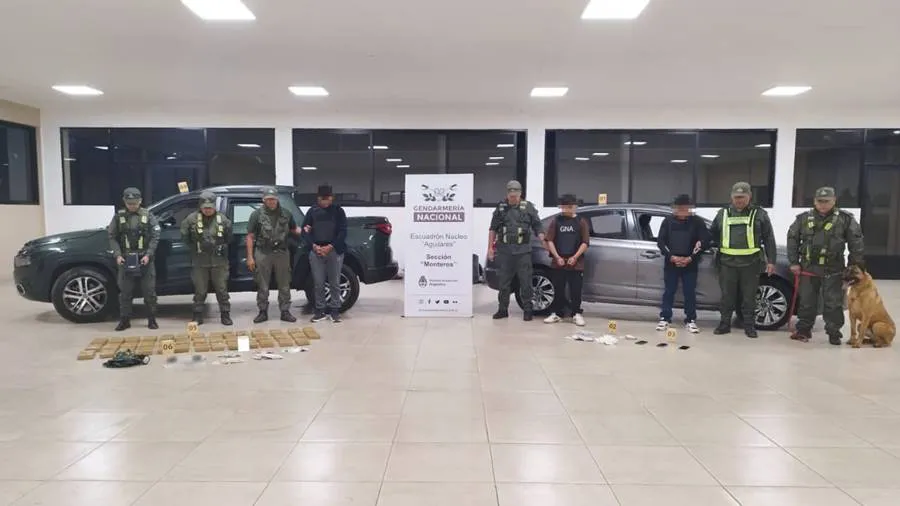 43_kilos_de_cocaina_dentro_de_los_paneles_laterales_de_la_caja_de_carga_-_tucuman_0_3