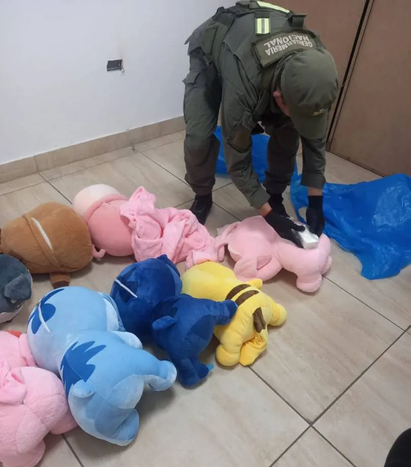 tucuman-_cocaina-_peluches-_03