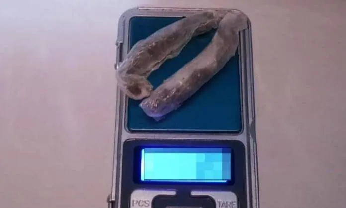 WhatsApp-Image-2025-09-23-at-8.03.43-AM-2-696x566