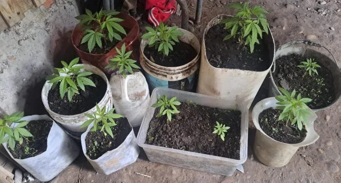 9bbd6841-ccf3-48f1-87f2-ca021b8280b4-696x373