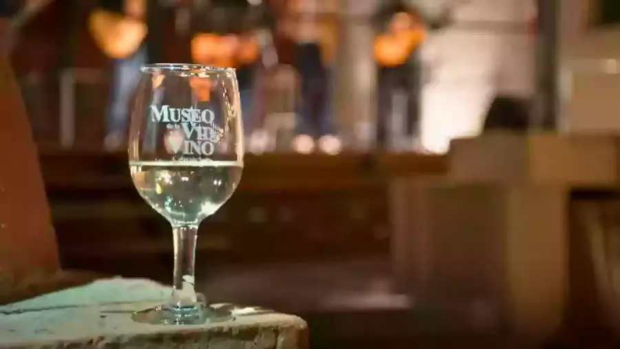 105906-bodegas-historia-y-cultura-una-experiencia-para-descubrir-los-valles-calchaquies-en-el-museo-de-la-vid-y-el-vino