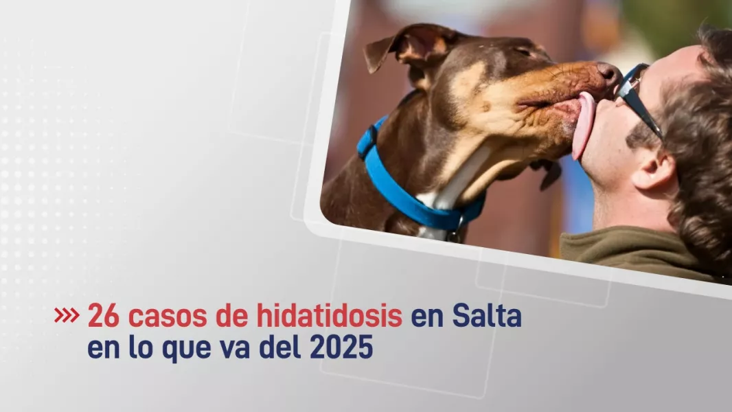 103124-en-salta-suman-26-los-casos-de-hidatidosis