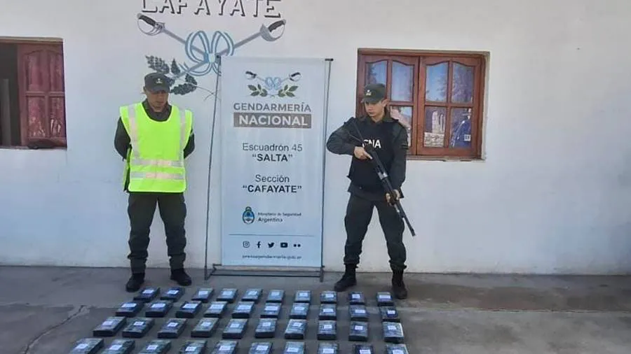 54454_kg_cocaina_el_cafayate_salta_1