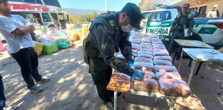 esconden_49_kilos_de_marihuana_y_4_kilos_de_cocaina_en_capibaras_de_peluches_2