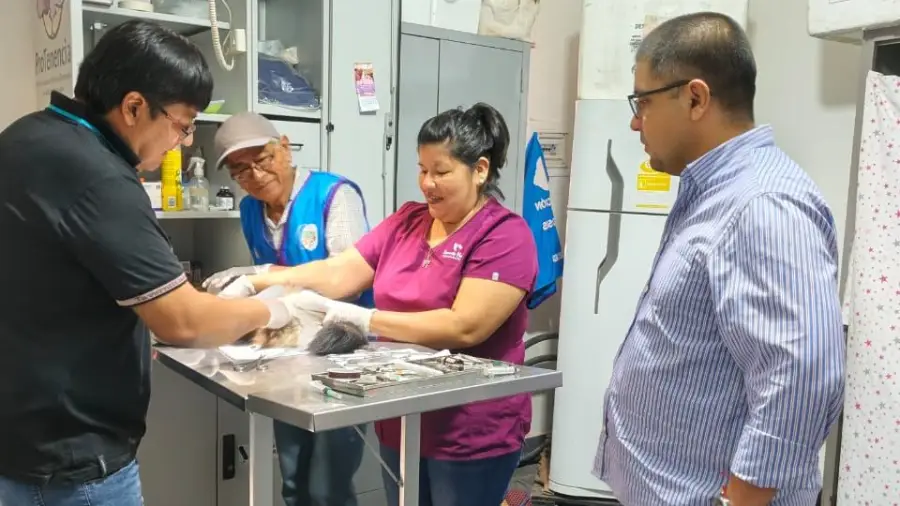 663213207_942438125162385_5913926251413978006_n