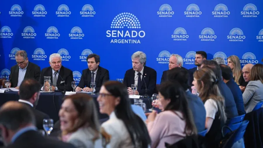 senado-bausili-werning-carta-organica-bcra