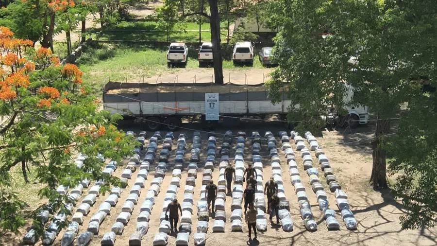 4.779_kilos_de_hojas_de_coca_en_oran_salta_1