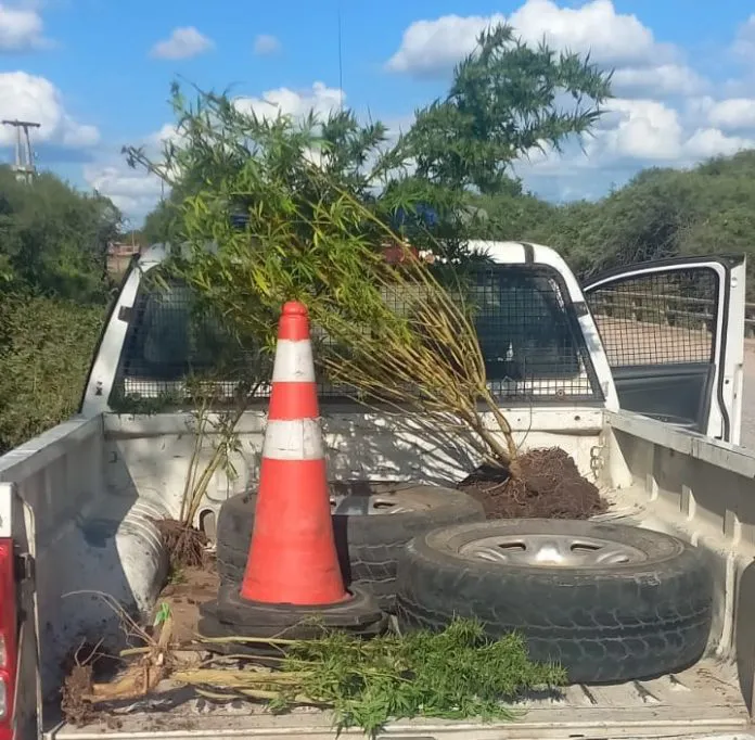 WhatsApp-Image-2025-04-16-at-10.48.31-PM-696x682