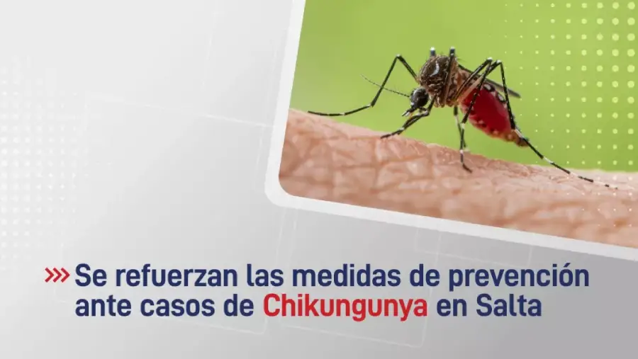 106263-salud-insta-a-la-poblacion-a-reforzar-medidas-de-prevencion-ante-la-deteccion-de-casos-de-chikungunya-en-la-provincia