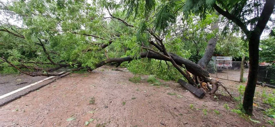 488148110_658586640214203_2051904568920216825_n