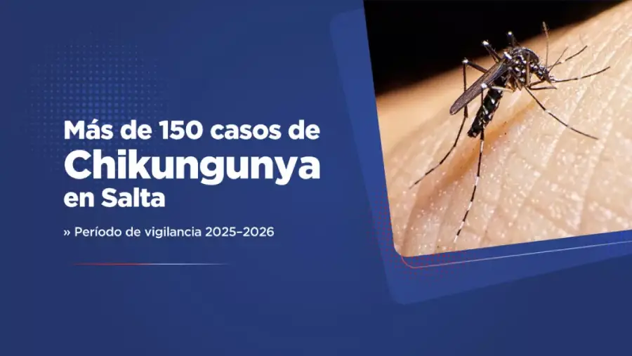 106765-salta-registra-mas-de-150-casos-confirmados-de-chikungunya-en-lo-que-va-del-periodo-de-vigilancia-20252026