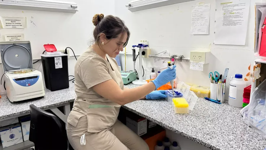 109761-tres-investigadoras-del-hospital-materno-infantil-obtuvieron-becas-doctorales-para-fortalecer-sus-proyectos-cientificos-20260828151717