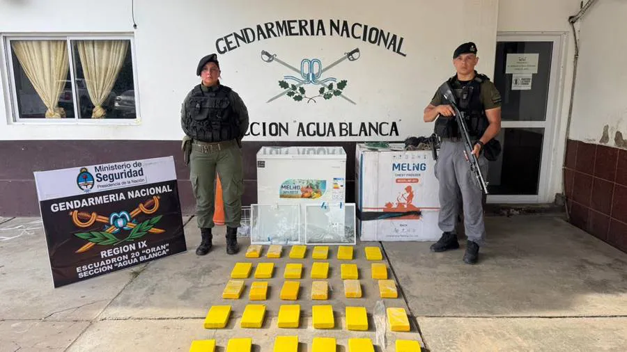 salta-_freezer-_cocaina-31_kilos_4