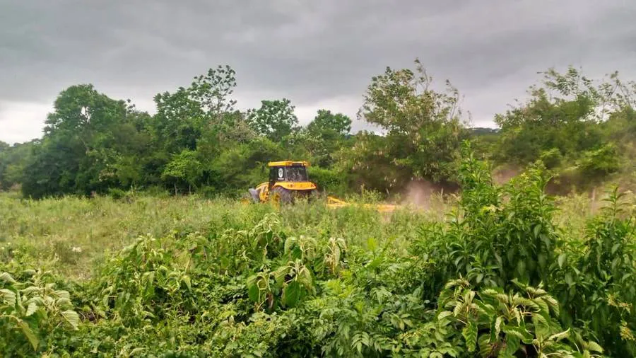 601213882_859739480098917_8499543215728418628_n