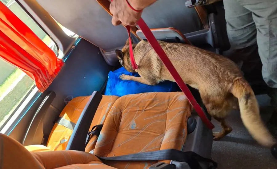 tucuman-_cocaina-_peluches-_02