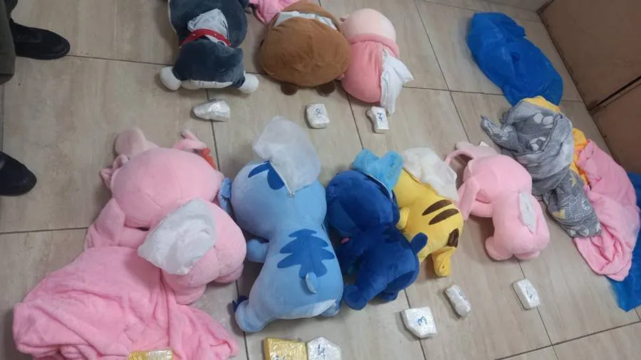 tucuman-_cocaina-_peluches-_04_0