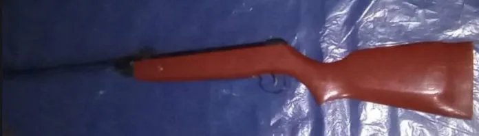 Captura-de-pantalla-2025-07-17-200235-696x199