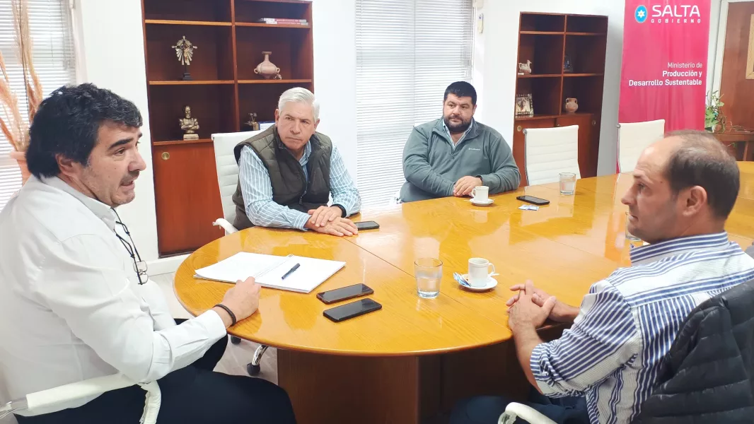 20485-salta-analiza-el-futuro-del-belgrano-cargas-y-su-impacto-en-la-produccion-local-20251107204025