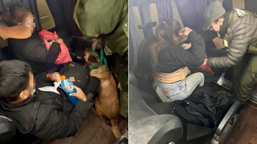 whatsapp_image_2025-06-11_at_16.19.31